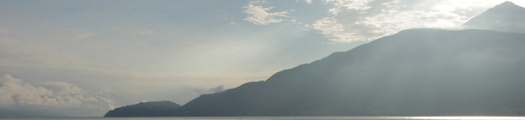 Uniquedub select distinct items